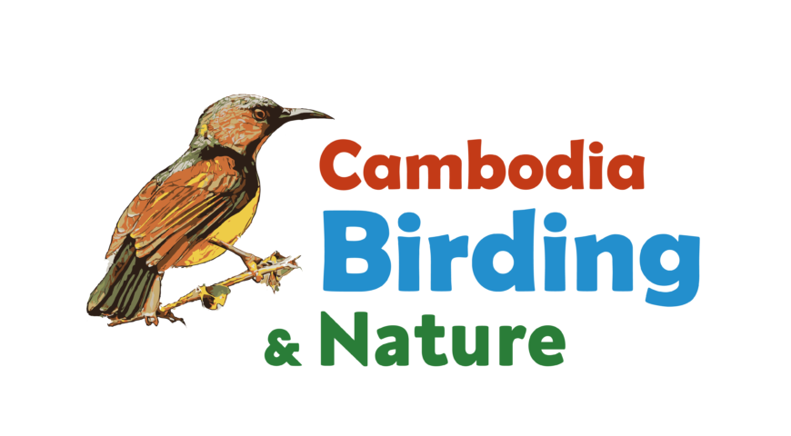 Cambodia Birding & Nature LOGO-01